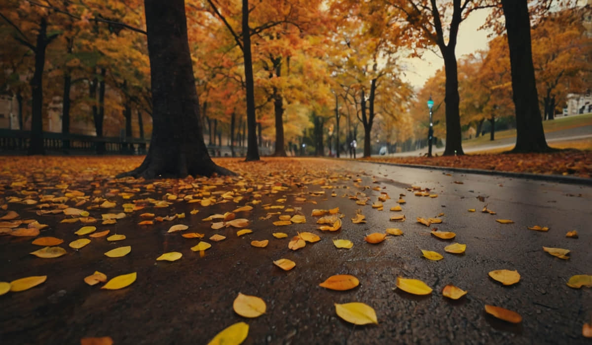 Autumn Pick Up funny Lines