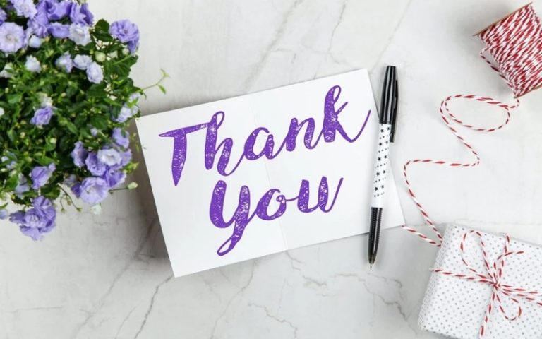 Picture of Thank You for the Update – Best Ways to Respond Professionally and Politely